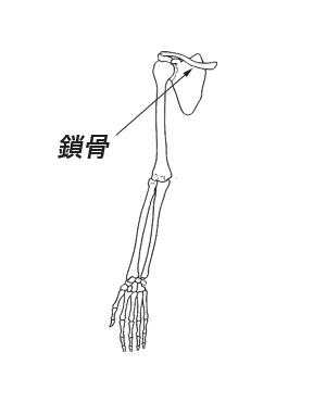鎖骨骨折