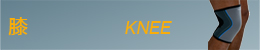 膝 KNEE