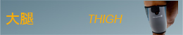 大腿 THIGH