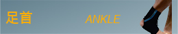 足首 ANKLE