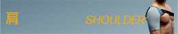 肩 SHOULDER