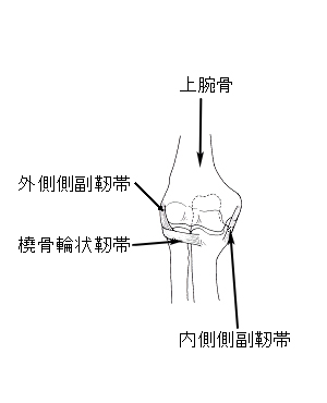 野球・ゴルフ肘